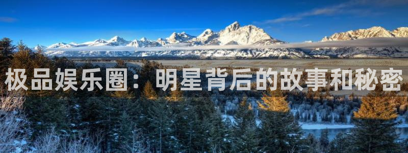 星空娱乐-应用详情