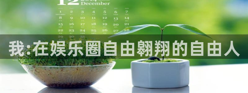 星空娱乐app下载安装