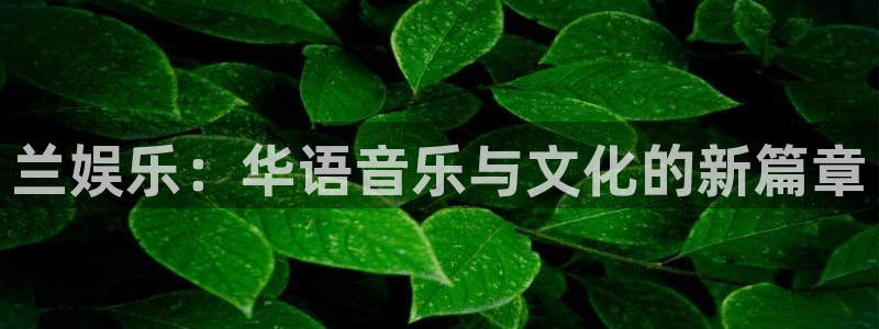 星空娱乐app下载安装
