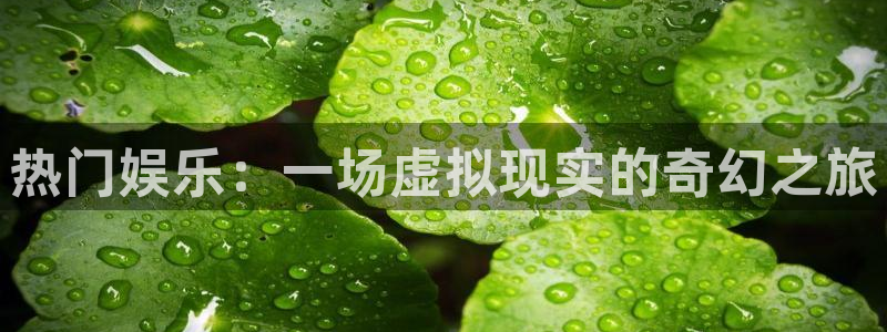星空娱乐93299尊享版