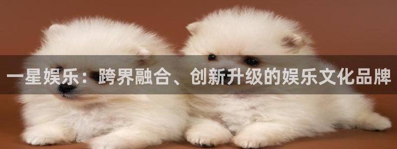 星空娱乐app下载
