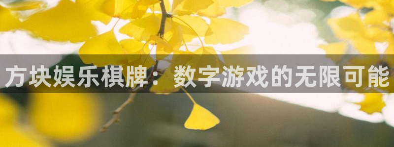 星空娱乐网