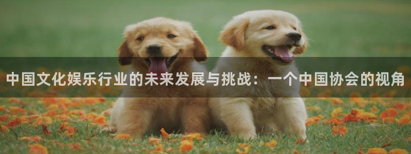 93299星空娱乐官网版